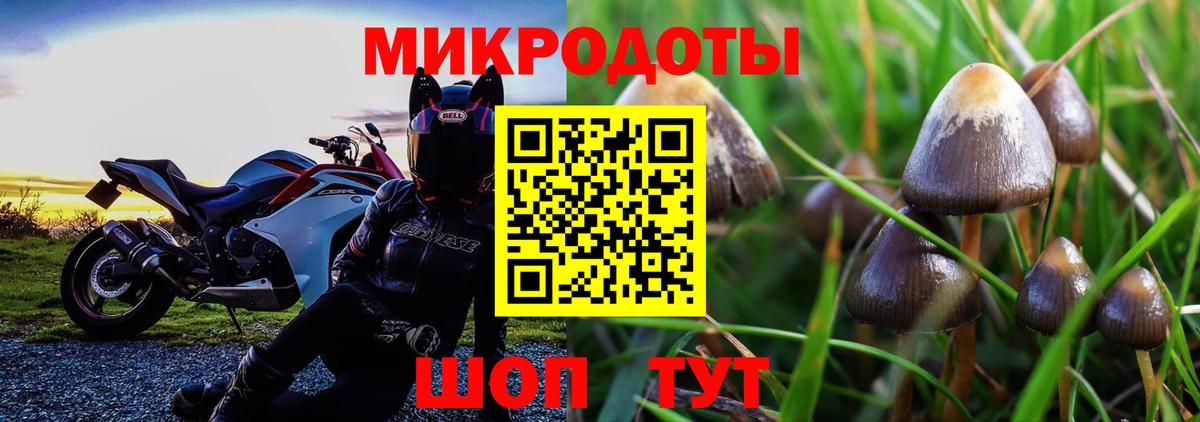 Лосино-Петровский  цена наркотик  Вход с VPN  Псилоцибиновые грибы Psilocybine cubensis  Псилоцибиновые грибы MAGIC MUSHROOMS 